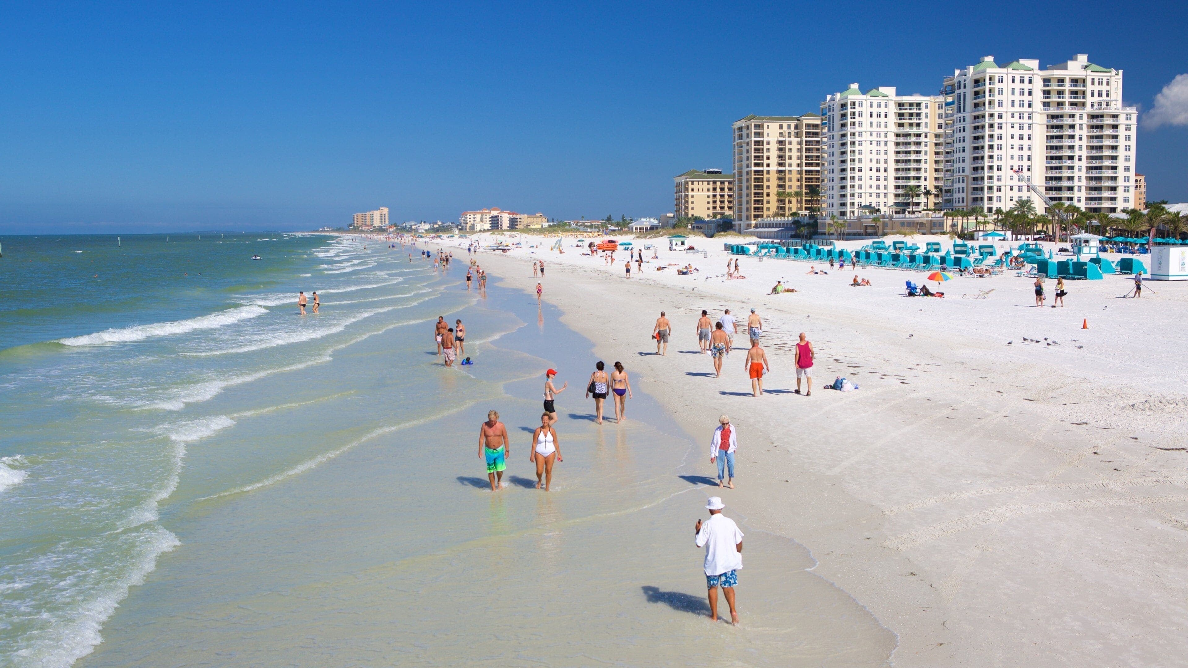 Skyline of Clearwater, FL