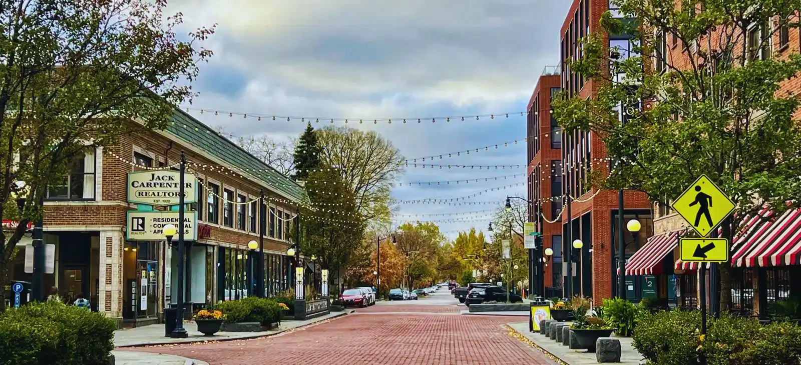 Skyline of Oak Park, IL