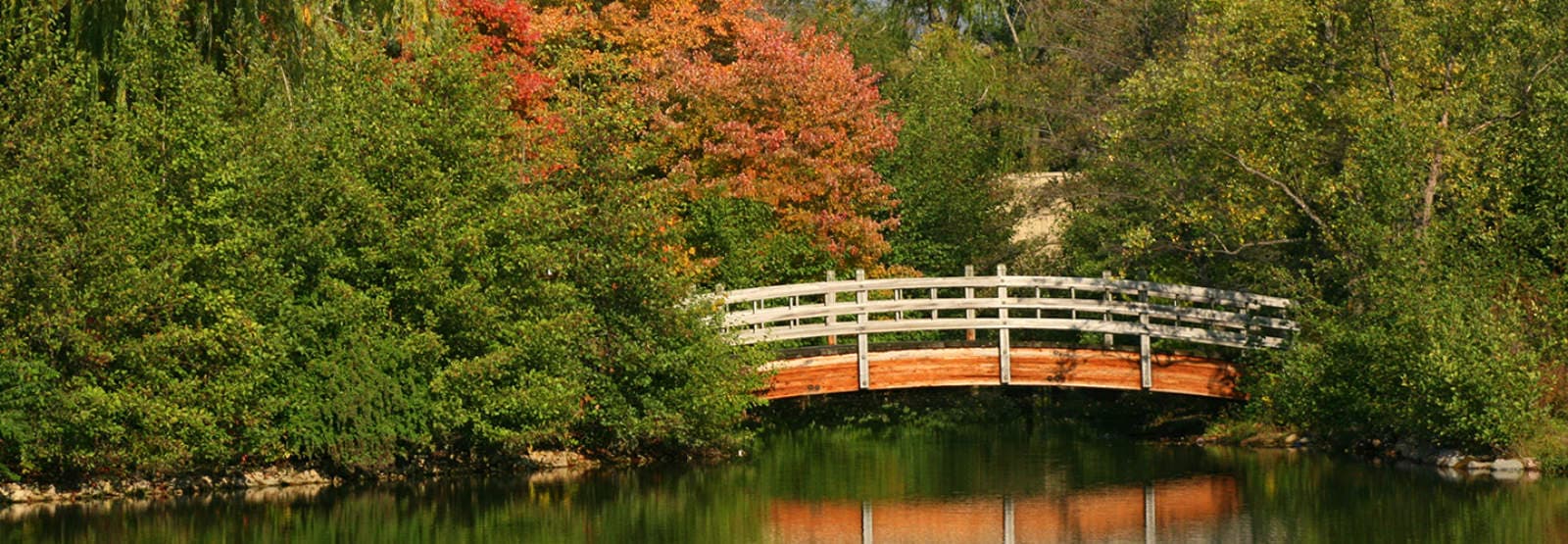 Skyline of Woodridge, IL