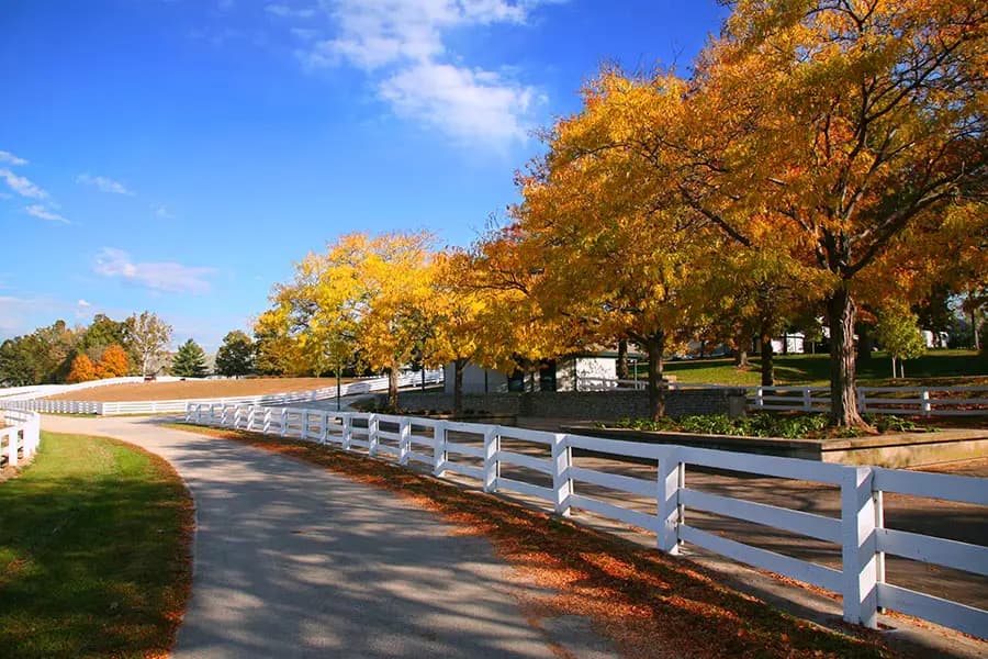 Skyline of Independence, KY
