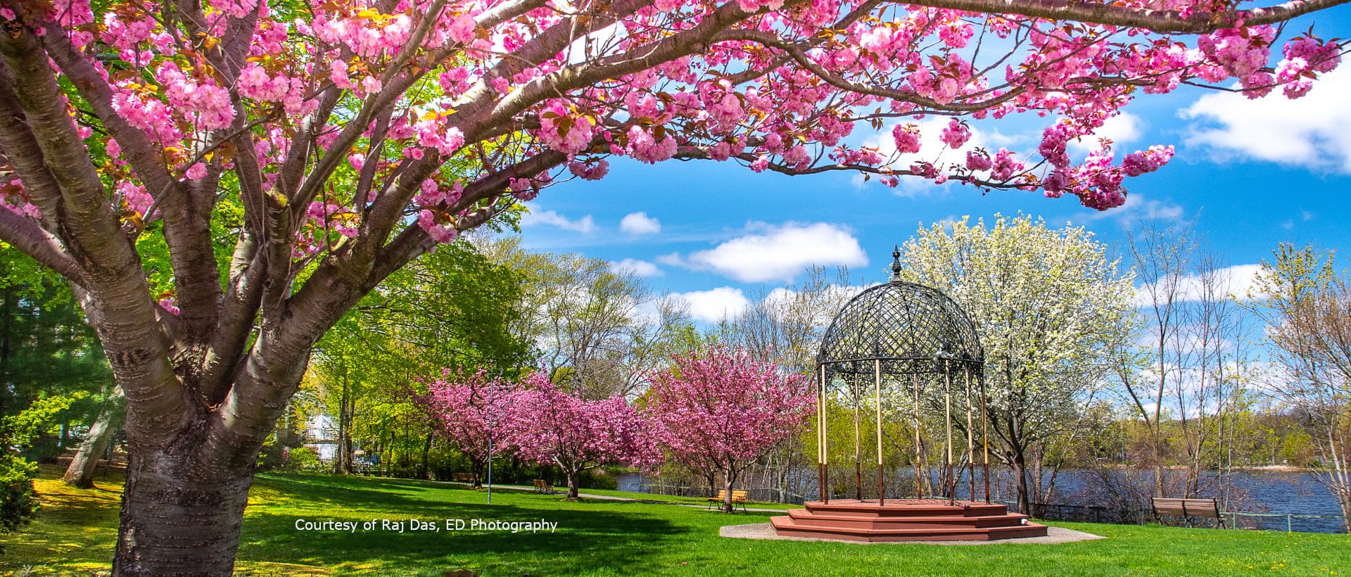 Skyline of Melrose, MA