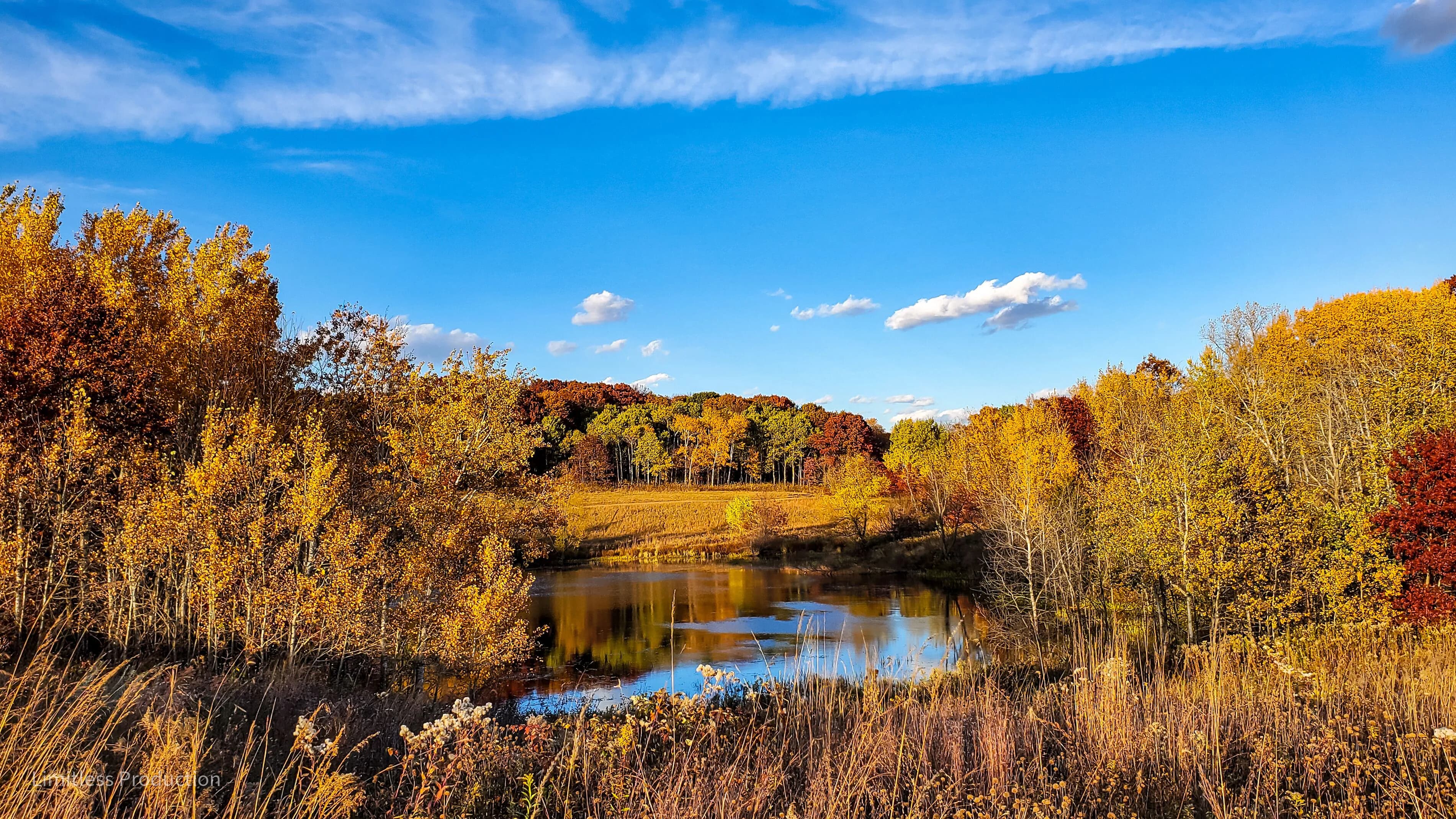 Skyline of Eagan, MN