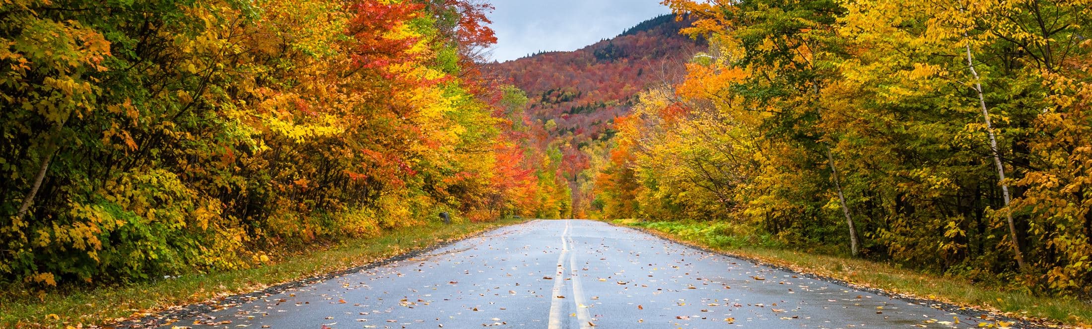 Skyline of Greenburgh, NY