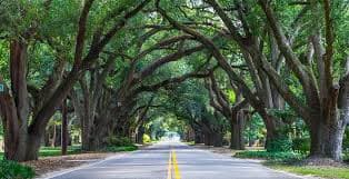 Skyline of Aiken, SC