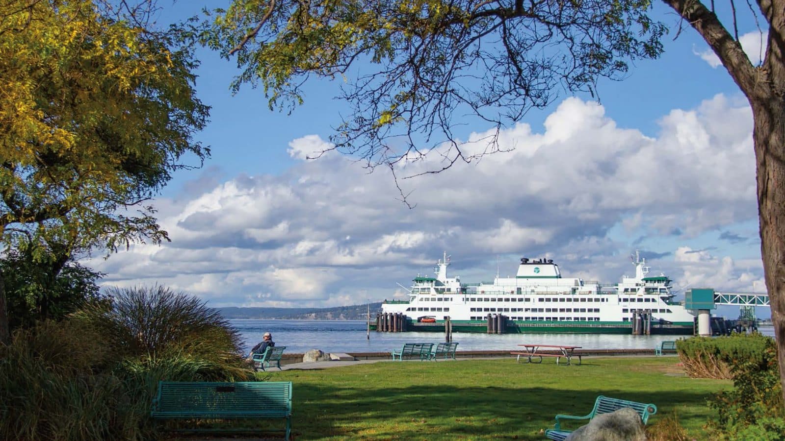 Skyline of Edmonds, WA