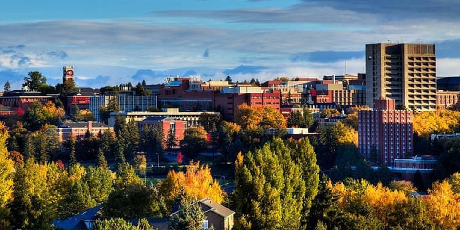 Skyline of Pullman, WA
