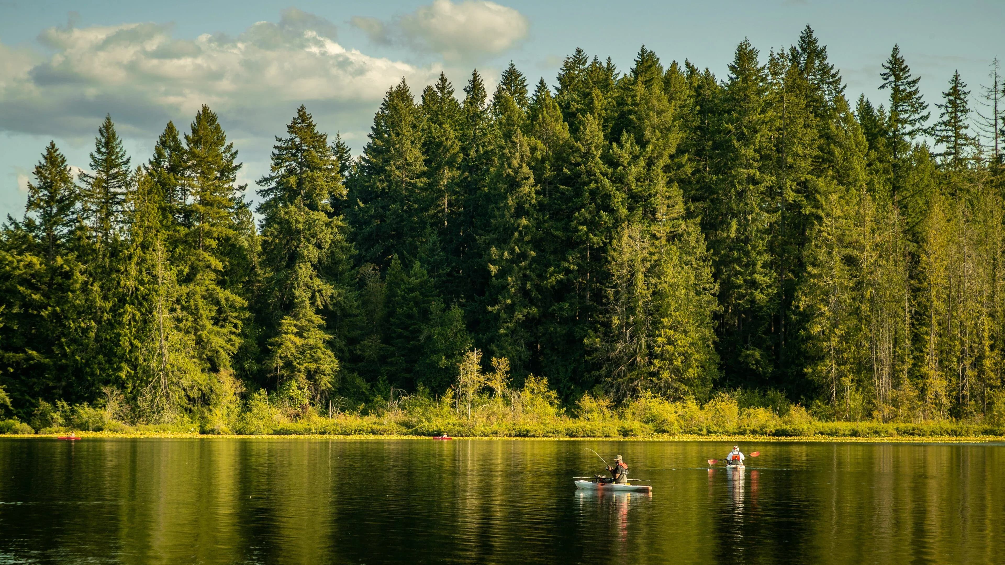 Skyline of Tumwater, WA