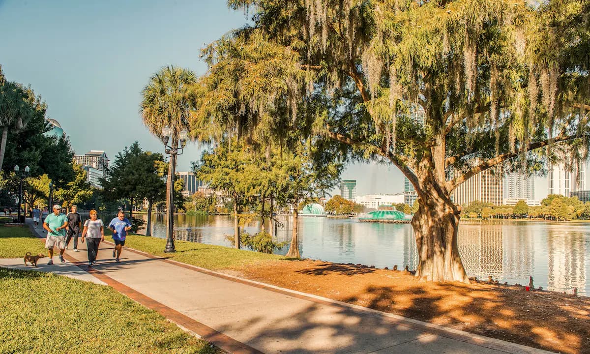 Skyline of Alafaya, FL