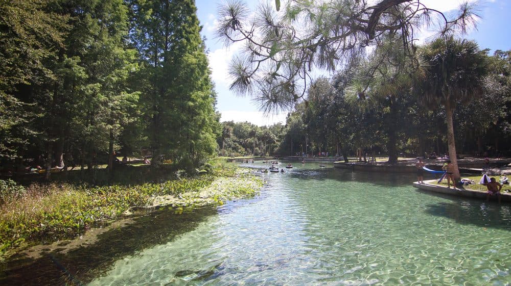 Skyline of Apopka, FL