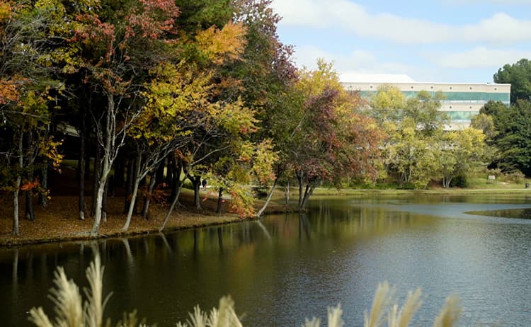 Skyline of Johns Creek, GA