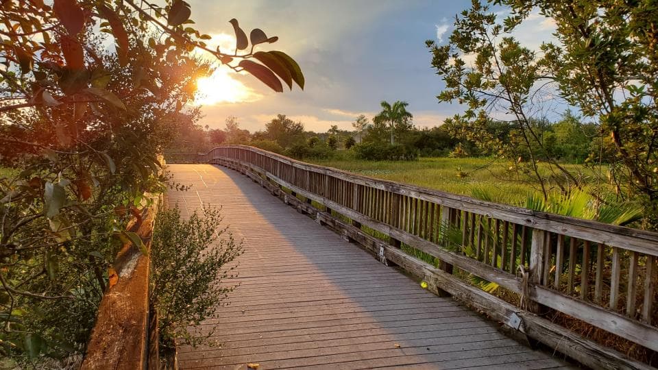 Skyline of Plantation, FL