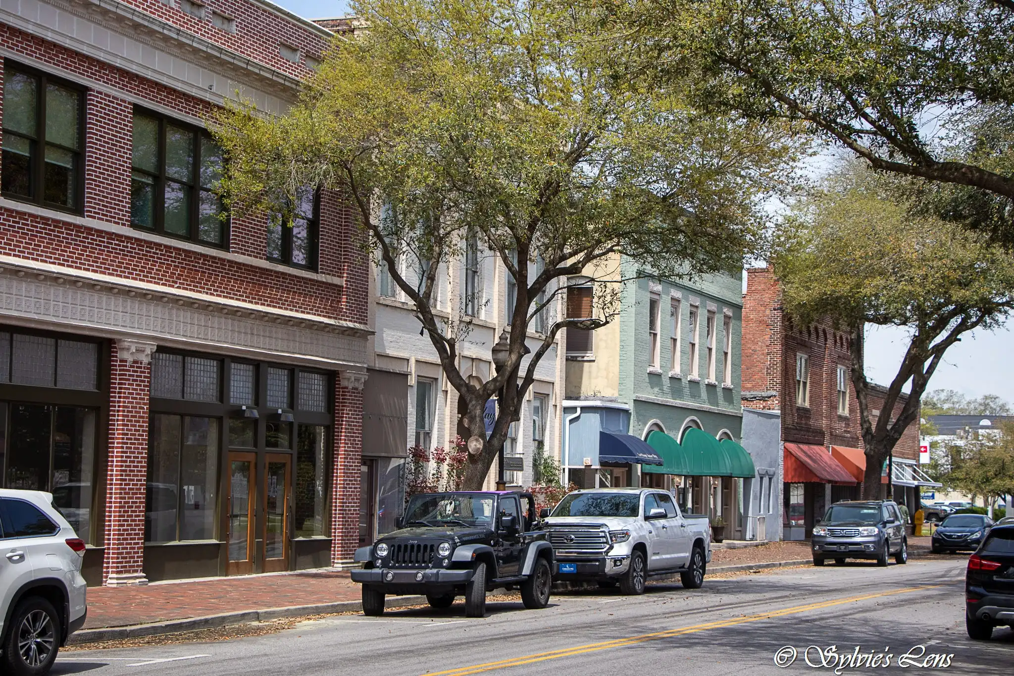 Skyline of Sumter, SC